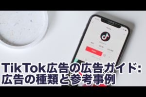 TikTok広告を配置別（インフィード動画広告 / Top View広告 / 起動画面広告）、キャンペーン別（#Challenge (ハッシュタグチャレンジ) / ブランドエフェクト（Branded Effects））に解説！